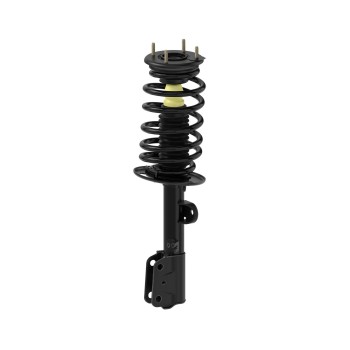 Suspension Strut and Coil Spring Assembly