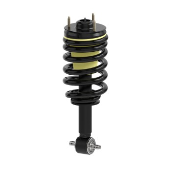 Suspension Strut and Coil Spring Assembly