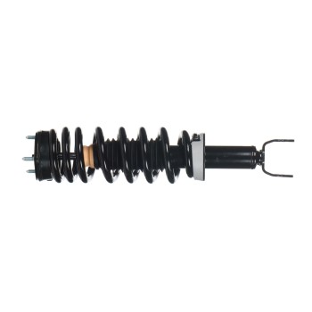Suspension Strut and Coil Spring Assembly