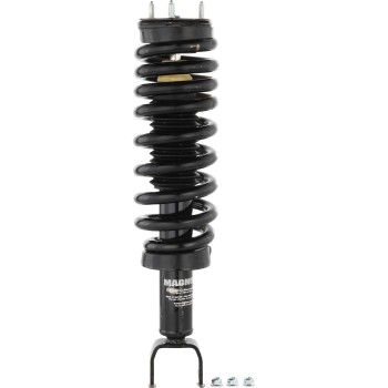 Suspension Strut and Coil Spring Assembly
