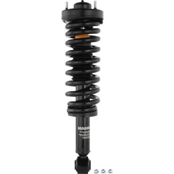 Suspension Strut and Coil Spring Assembly
