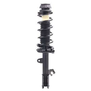 Suspension Strut and Coil Spring Assembly
