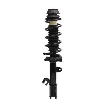Suspension Strut and Coil Spring Assembly