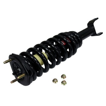 Suspension Strut and Coil Spring Assembly