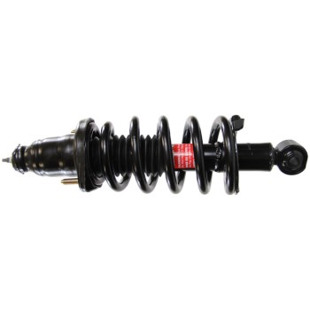 Suspension Strut and Coil Spring Assembly