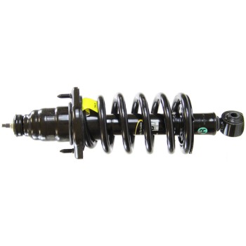 Suspension Strut and Coil Spring Assembly