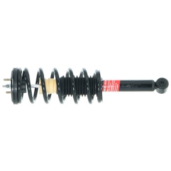 Suspension Strut and Coil Spring Assembly