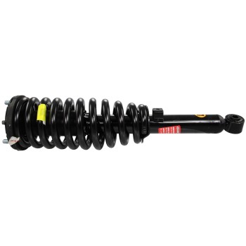 Suspension Strut and Coil Spring Assembly