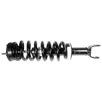 Suspension Strut and Coil Spring Assembly