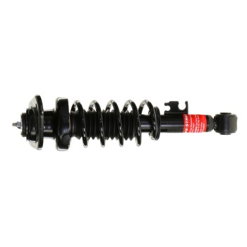 Suspension Strut and Coil Spring Assembly