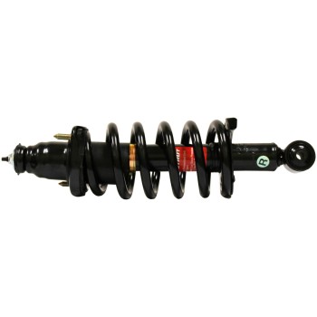 Suspension Strut and Coil Spring Assembly