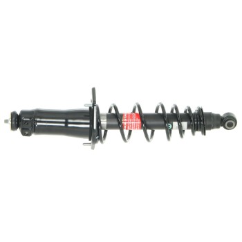 Suspension Strut and Coil Spring Assembly