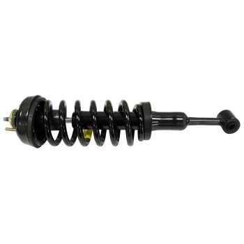 Suspension Strut and Coil Spring Assembly