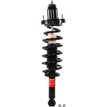 Suspension Strut and Coil Spring Assembly