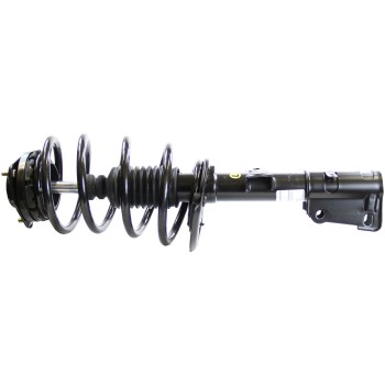 Suspension Strut and Coil Spring Assembly