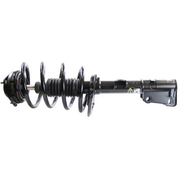 Suspension Strut and Coil Spring Assembly