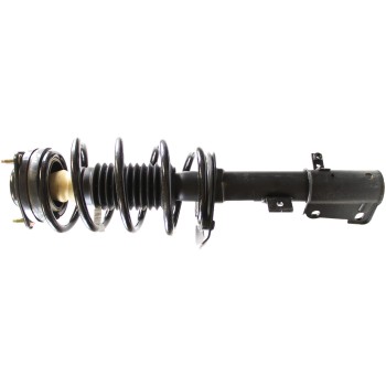 Suspension Strut and Coil Spring Assembly