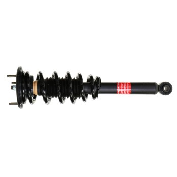 Suspension Strut and Coil Spring Assembly