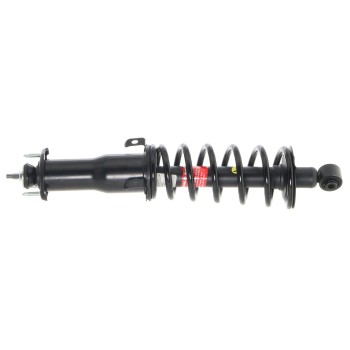 Suspension Strut and Coil Spring Assembly