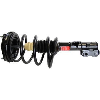 Suspension Strut and Coil Spring Assembly