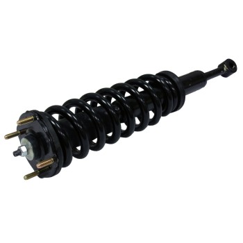 Suspension Strut and Coil Spring Assembly