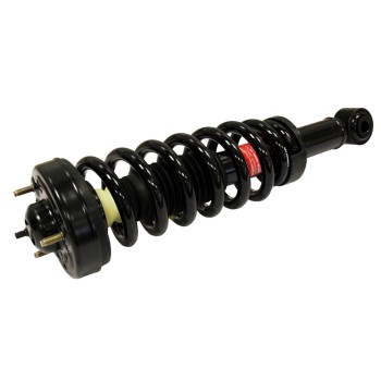 Suspension Strut and Coil Spring Assembly