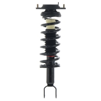 Suspension Strut and Coil Spring Assembly