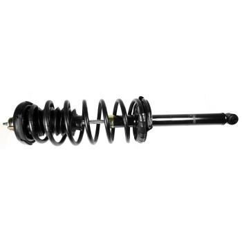 Suspension Strut and Coil Spring Assembly