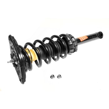 Suspension Strut and Coil Spring Assembly