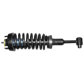 Suspension Strut and Coil Spring Assembly