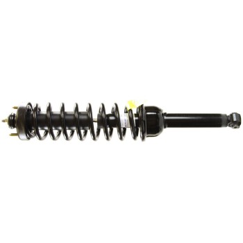 Suspension Strut and Coil Spring Assembly