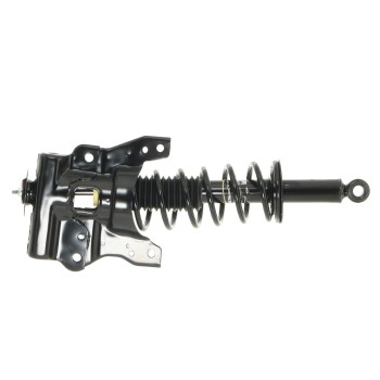 Suspension Strut and Coil Spring Assembly