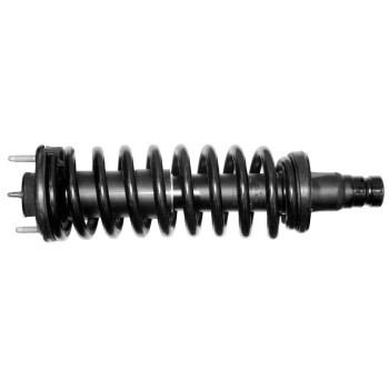 Suspension Strut and Coil Spring Assembly