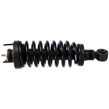 Suspension Strut and Coil Spring Assembly