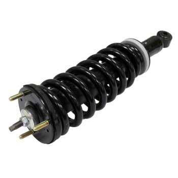 Suspension Strut and Coil Spring Assembly