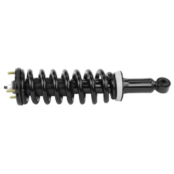 Suspension Strut and Coil Spring Assembly
