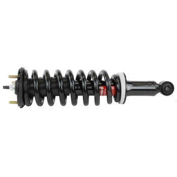 Suspension Strut and Coil Spring Assembly