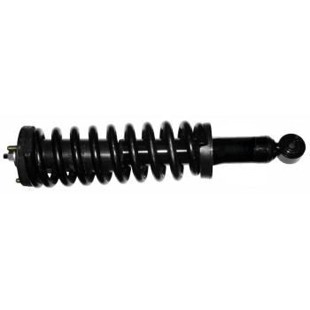 Suspension Strut and Coil Spring Assembly