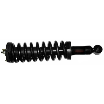 Suspension Strut and Coil Spring Assembly
