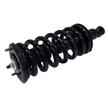 Suspension Strut and Coil Spring Assembly