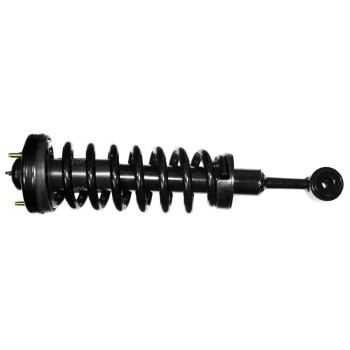 Suspension Strut and Coil Spring Assembly