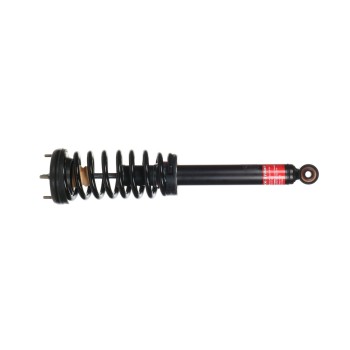 Suspension Strut and Coil Spring Assembly