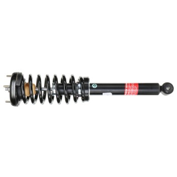 Suspension Strut and Coil Spring Assembly