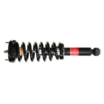 Suspension Strut and Coil Spring Assembly