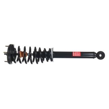 Suspension Strut and Coil Spring Assembly