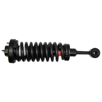 Suspension Strut and Coil Spring Assembly