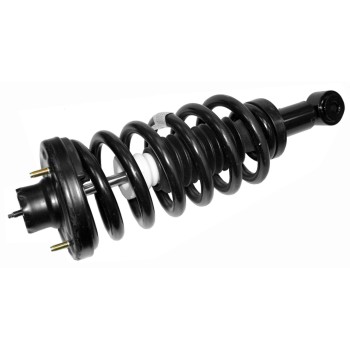 Suspension Strut and Coil Spring Assembly