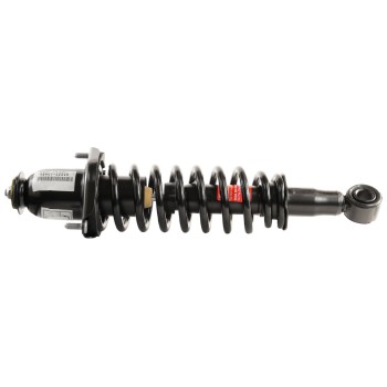 Suspension Strut and Coil Spring Assembly