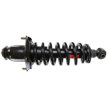 Suspension Strut and Coil Spring Assembly