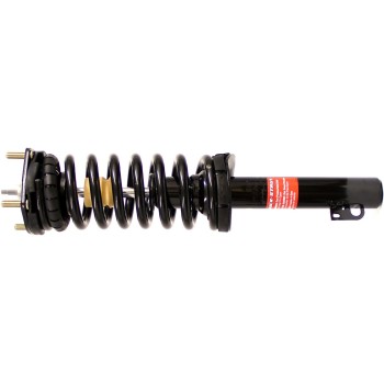 Suspension Strut and Coil Spring Assembly